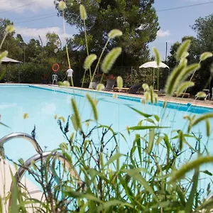 Hostel Inout 